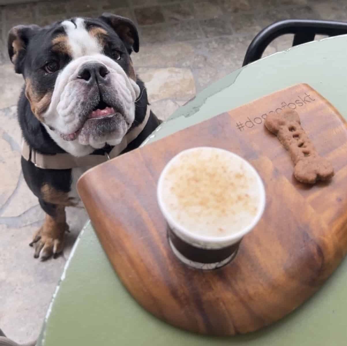 Pup1